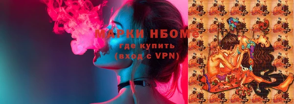 прущие грибы Арсеньев